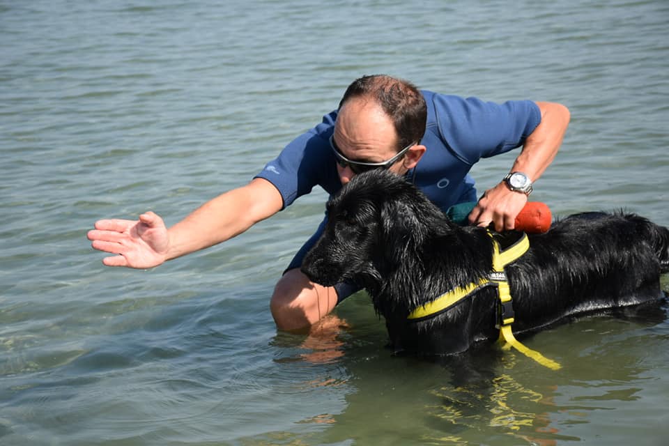 Addestramento cani con educatore cinofilo qualificato