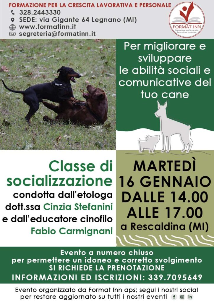 Classe di comunicazione gennaio