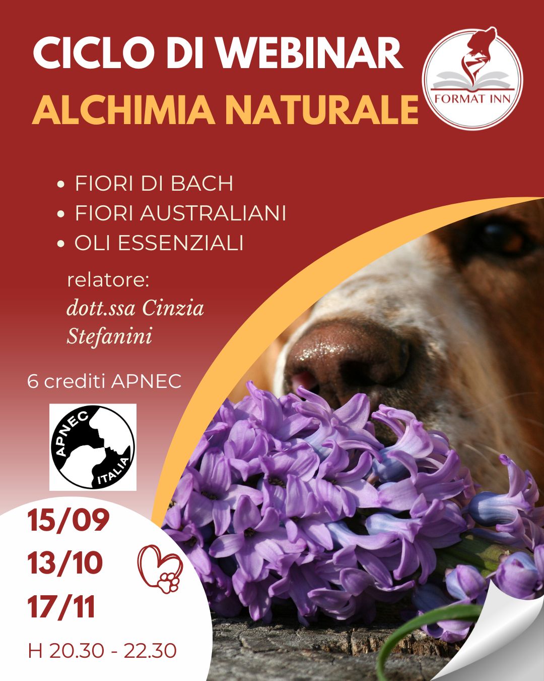 Alchimia naturale ciclo di webinar cinofili con crediti formativi APNEC